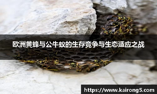 欧洲黄蜂与公牛蚁的生存竞争与生态适应之战